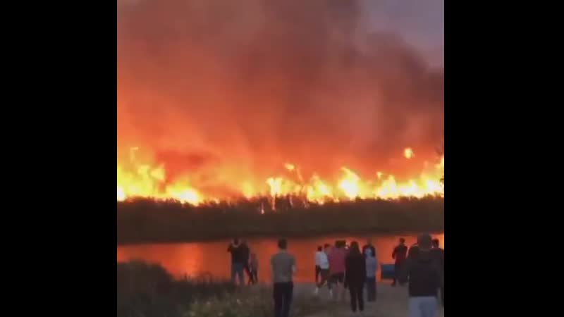 Воронежская область