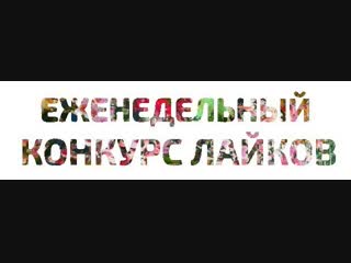 Еженедельный розыгрыш подарков #50