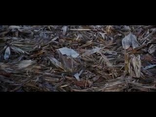 The lovely bones 2009 susie meets mr