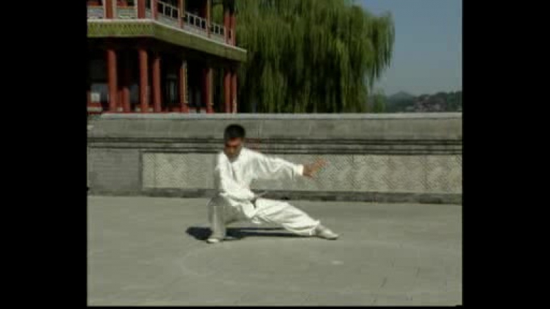 Багуачжан чен ши 8 больших ладоней