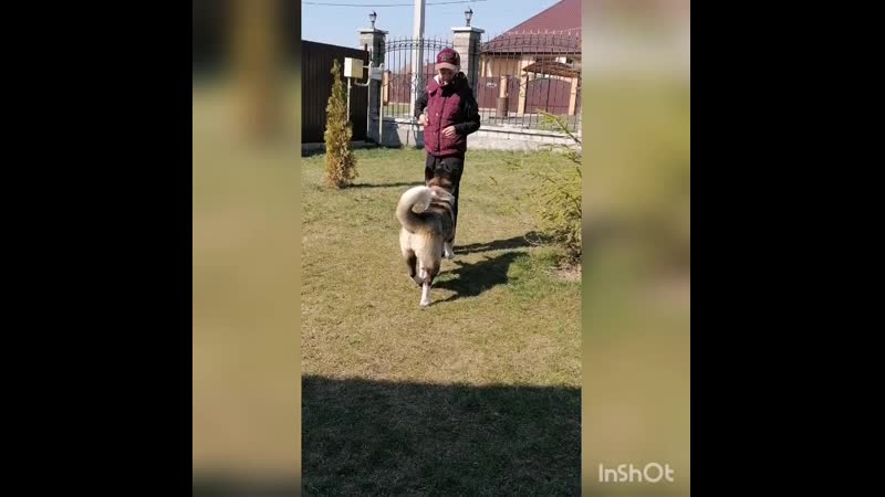 Самоизоляция #сидимдома