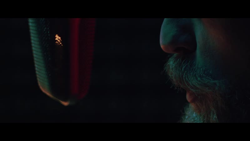 В тёмном тёмном лесу