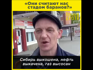 «они считают нас стадом баранов?»