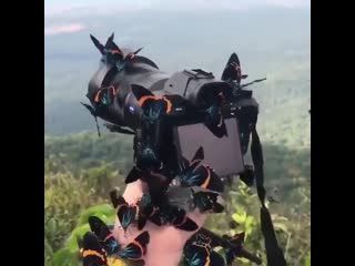 It was a good plan before the engagement with the enemy