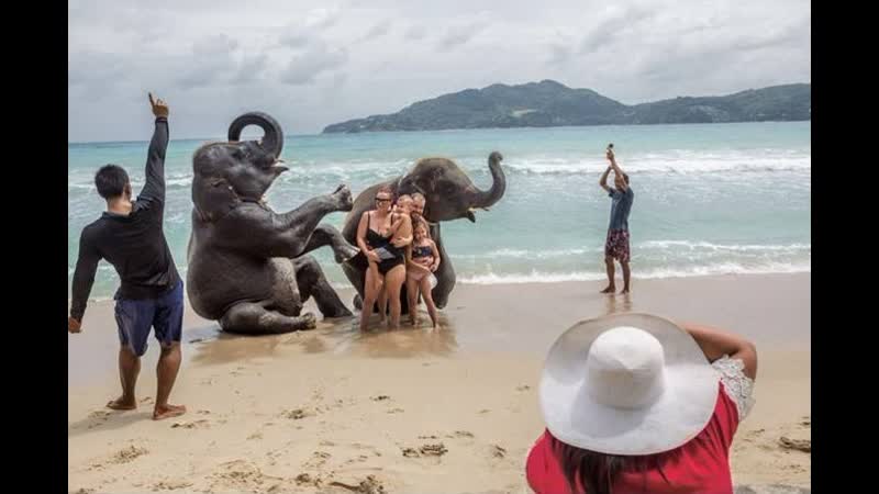 Невидимые страдания изнанка туризма с дикими молодые