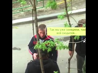 Видео от владимира адена