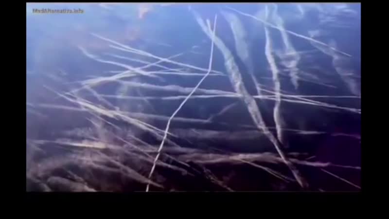 Сумасшедшие сектанты сошли с ума! пришло время их остановить!