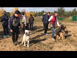 Воскресный тренинг, продолжаем учебу