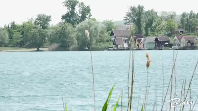 Dal deneg vzyal kiskoy mp4