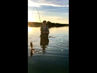 Вечерний клёв