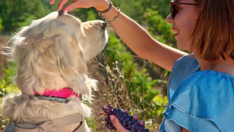 Всеобщая декларация прав человека