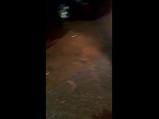 Насрали в машине