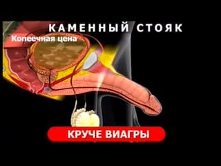 Железная потенция может быть в любом возрасте! standup gel лучшее натуральное средство!