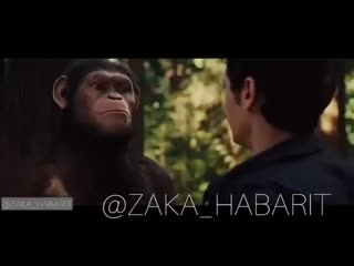 Братан давай пообщаемся