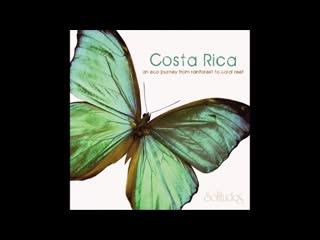 Costa rica an eco journey from rainforest to coral reef dan gibson chris phillips