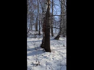 Vid 20201202 140009(2) mp4