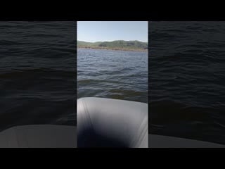 Лодка marlin 320 slk toyama 5