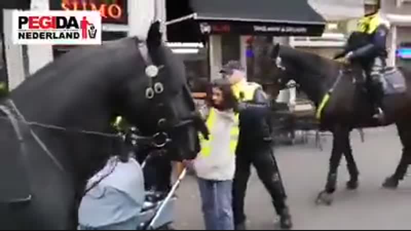 Нидерланды одела жилет? утащили в кпз, оторвав от ребенка, демократия хули