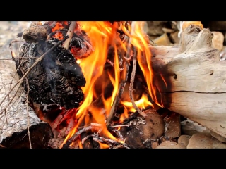 Дикая кухня рыба в глине steamed fish in clay