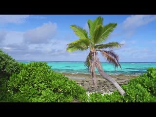 Above the fiji islands aerial nature relaxation ambient film w music by darshan ambient slow tv