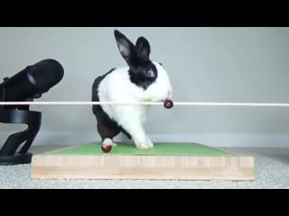 Клолик смешно упал (у*ебался)