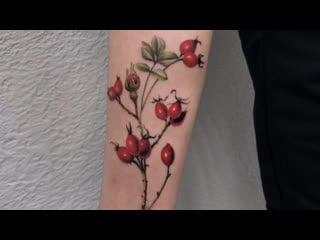 Тату мастер илья калиниченко (realistic tattoo rose hip) | тату студия дом элит тату (tattoo studio moscow)