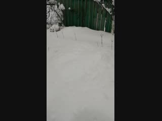 Sl mo vid 20190105 142934 mp4