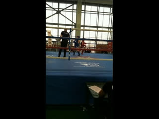 Live muay thai, тайский бокс, мма, thai fight rus