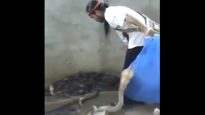 Когда работаешь в женском коллективе