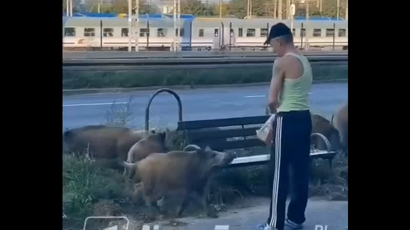 Новые военкомы заступили на службу и работают с мыколами по новой схеме