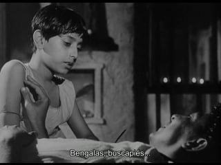 Aparajito (1956) satyajit ray subtitulada