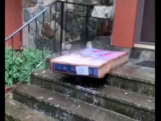 Приятного просмотра получил сообщение, что телевизор доставлен (vhs video)