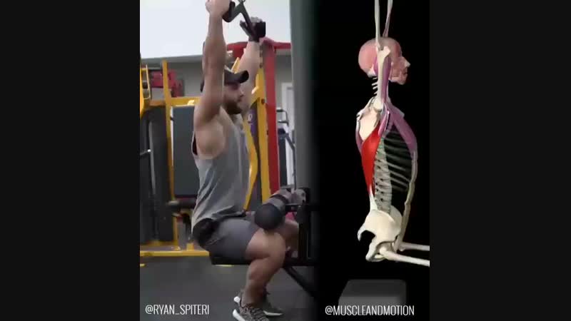 Вертикальная тяга