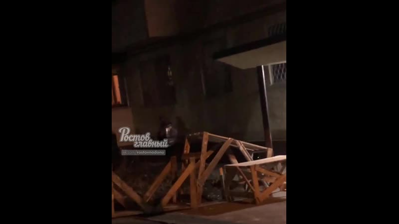 Ростовчанка поймала цыганок ростов на дону главный