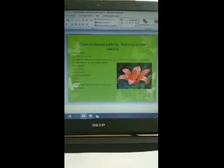 Строение цветка ч 1