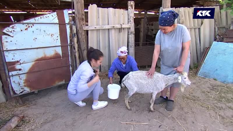 Қарапайым ханшайым