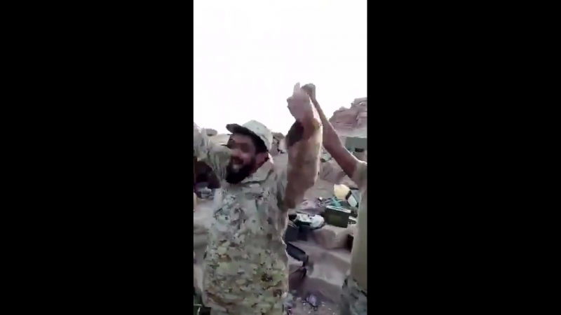 Уничтожение мятежников на южной границе