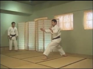 Karatedo 空手道 hirokazu kanazawa 金澤 弘和 4 kyu kata 級型 avi