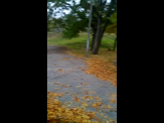 Vid 20151106 100204