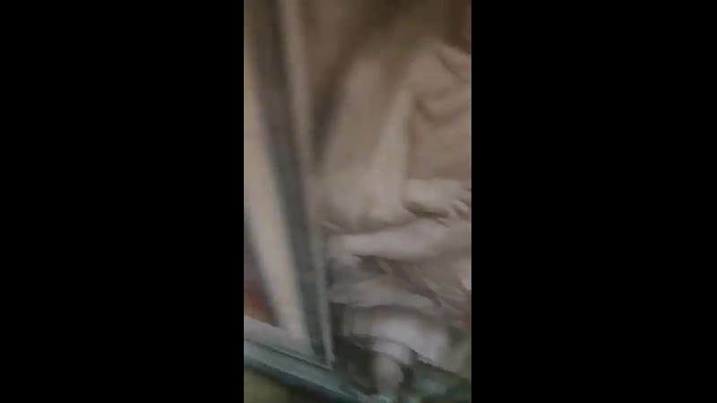 Туристки из винницы осквернили фреску рафаэля в ватикане