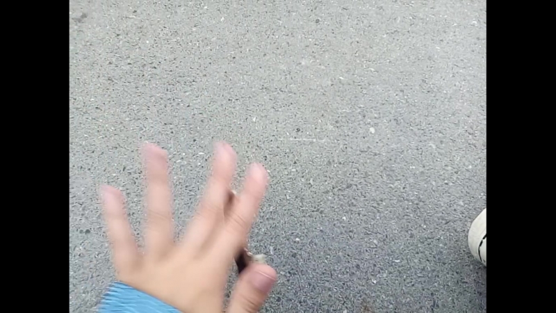 Fakie 540 flip