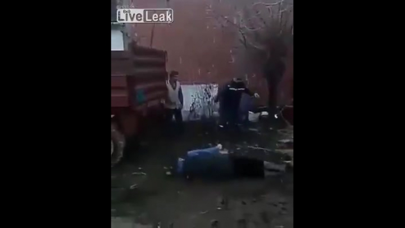 Румынские электротехнологии забоя порося