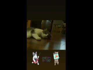 Lisa instastory 080220