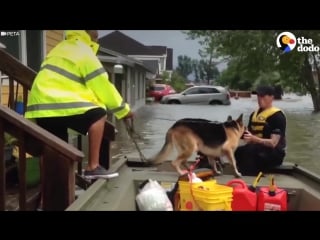 Герои, которые спасали молодые во время урагана харви