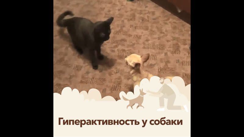 📌шило в попе