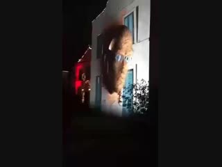 Cot olginonet mmwgol9 368p mp4