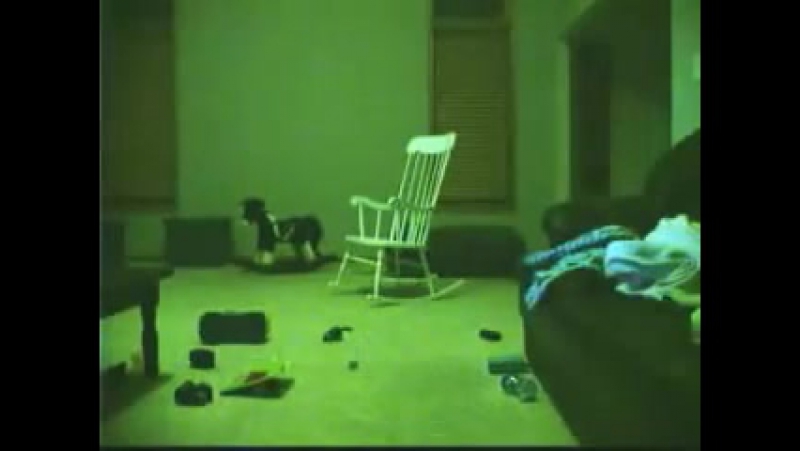 Заснятое приведение