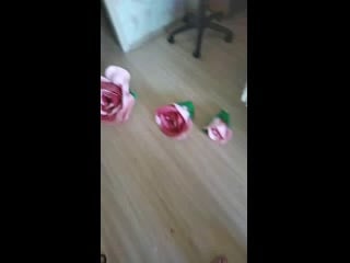 Vid 20200615 121706 mp4