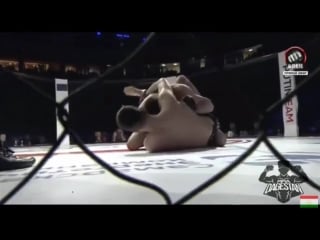 Рамазан амаев акбар махмадов