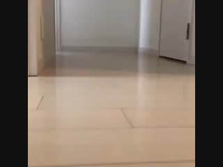 Hajoon going out with woosung and dojoon